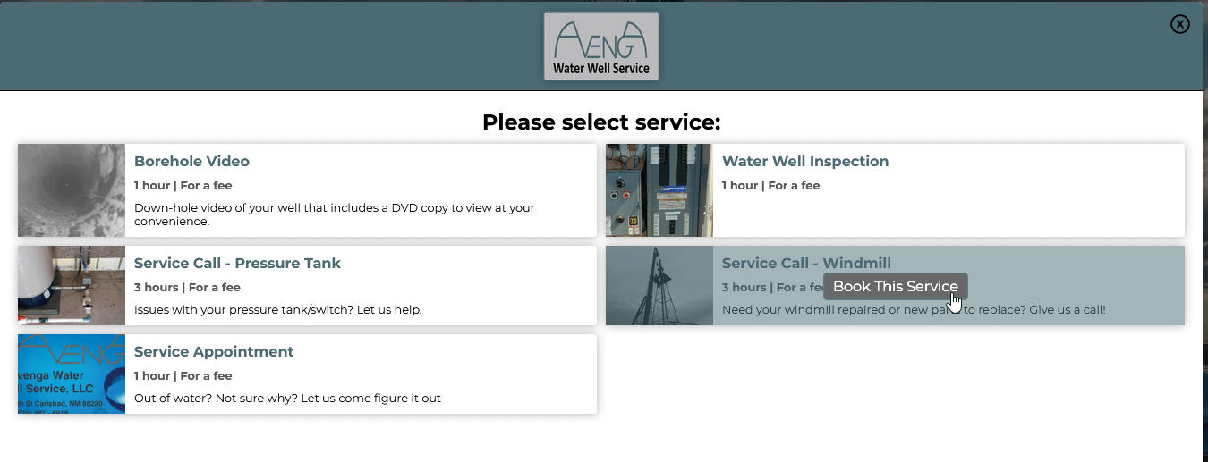 Avenga website service select screenshot